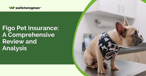 Figo Pet Insurance: A Comprehensive Review and Analysis
