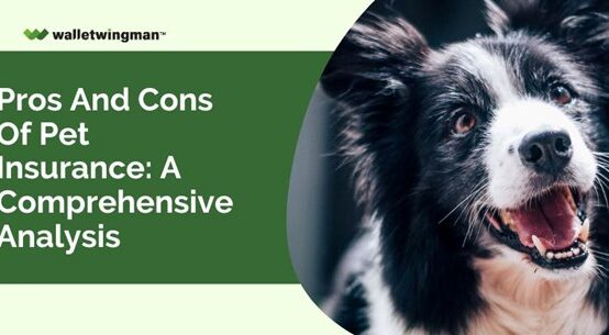Pros and Cons of Pet Insurance: A Comprehensive Analysis