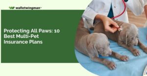 best multi pet insurance