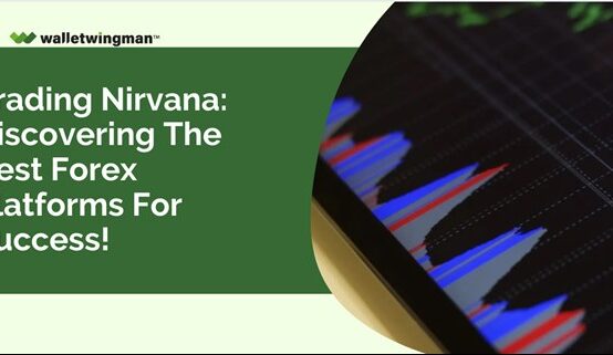 Trading Nirvana: Discovering the Best Forex Platforms for success!